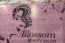 Blossom Beauty Salon...
